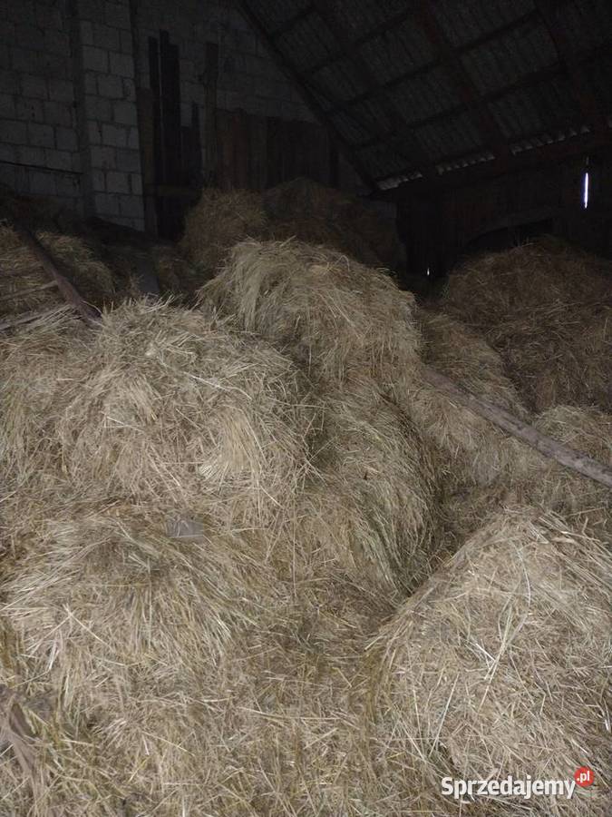 Siano w kostkach Jarczów