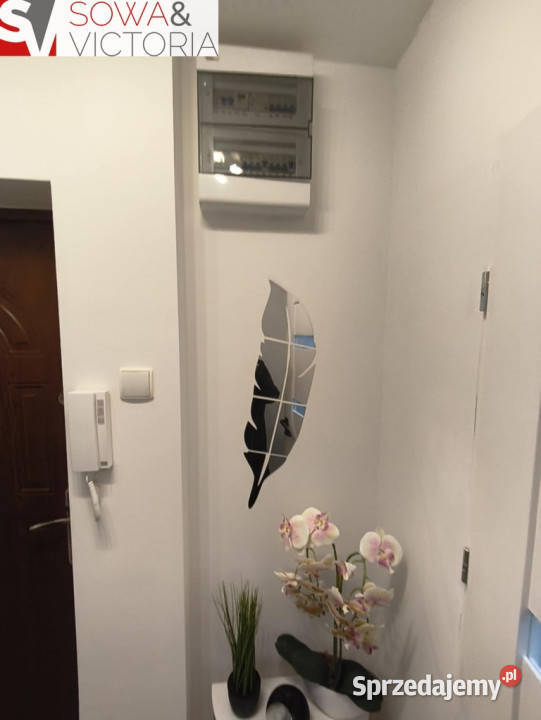 Dwu poziomowe mieszkanie czynsz zero złotych Piętro 1 Wałbrzych