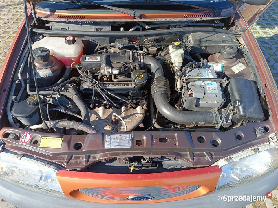 Ford Fiesta MK4 60 klimatyzacja Radzyń Podlaski sprzedam