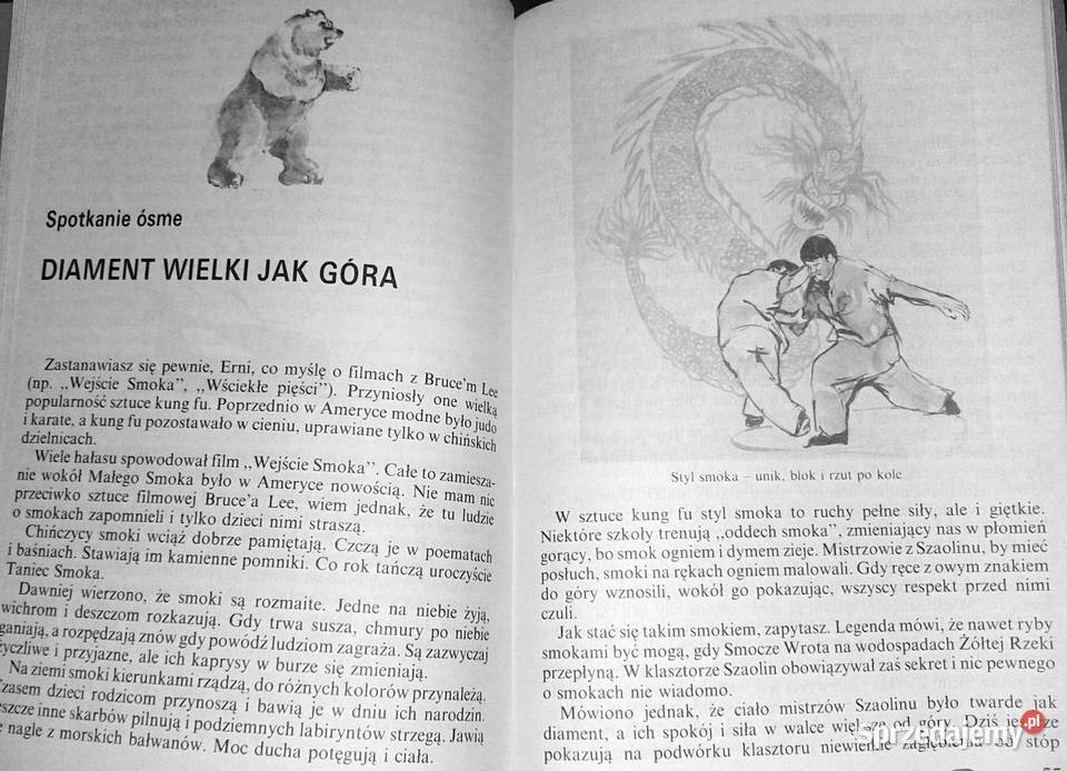 Moc Erniego Stanisław Tokarski