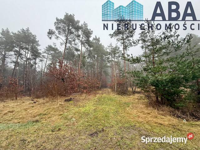 Działka na sprzedaż w Skulsku