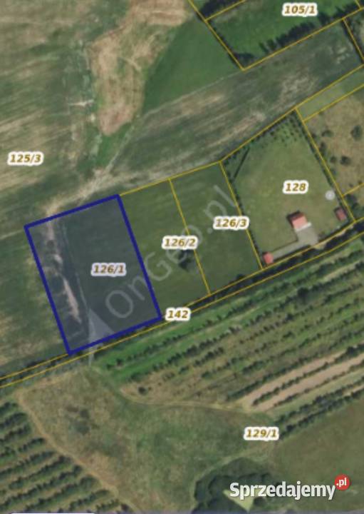 Działka rolna 6265m2 w pobliżu jeziora Mamry Sprzedaż Trygort