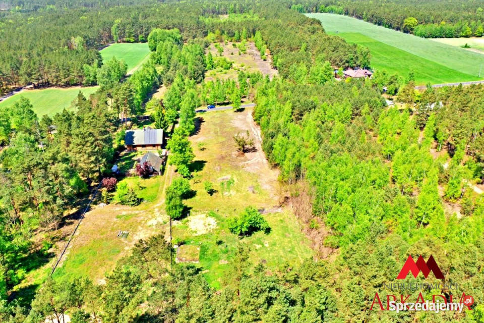 Ogłoszenie działka Kosinowo 1043m2