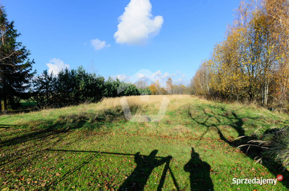 Dom 3 kondygnacyjny Trzciana gm Świlcza 190m2