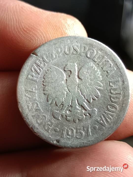 Sprzedam monete 1 zloty 1957 r kk Chełm