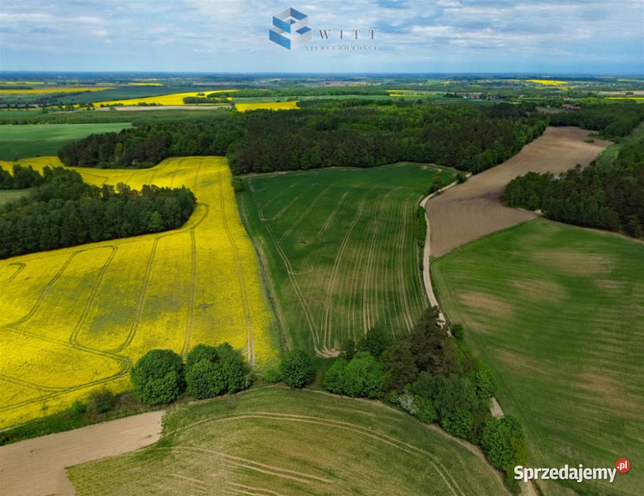 Grunt do sprzedania Rudno 53200m2 rolna