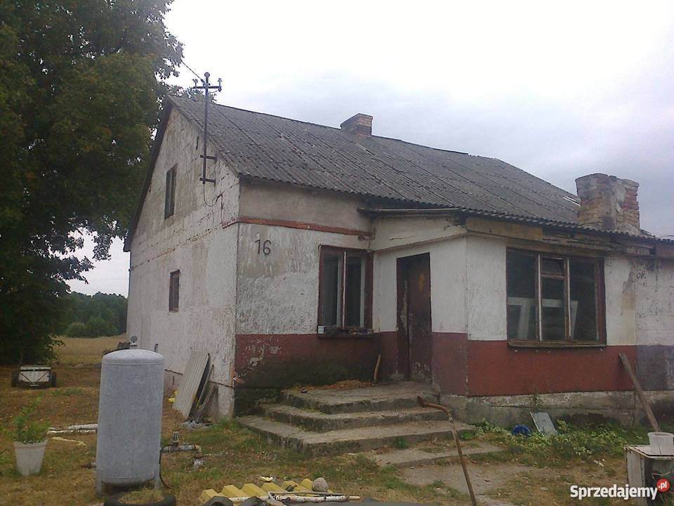 Sprzedam siedlisko w Puszczy Rządowej koło ogródek kujawsko-pomorskie Puszcza Rządowa