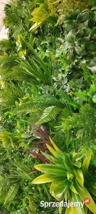 Piękna Dekoracyjna zielona ściana 3d 150x200 Warszawa