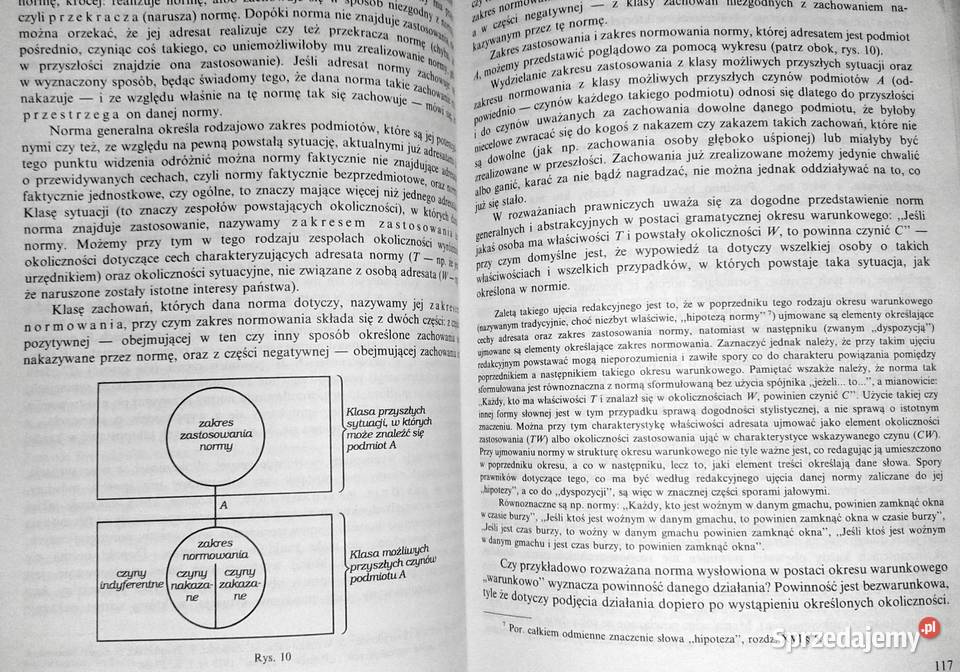 Logika praktyczna Zygmunt Ziembiński sprzedam