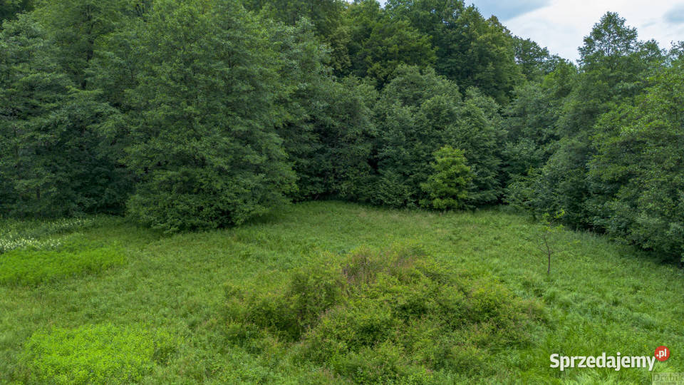 Ogłoszenie grunt Sucha Beskidzka Zamkowa 1422m2 szambo
