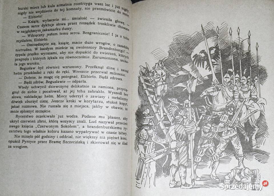 Czerwony sokół Ireneusz Gwidon Kamiński Kultura i Rozrywka Chełm