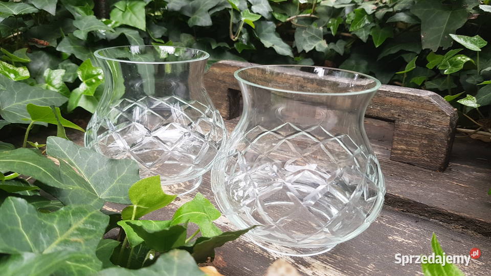 Dwa kryształowe klosze Myszków