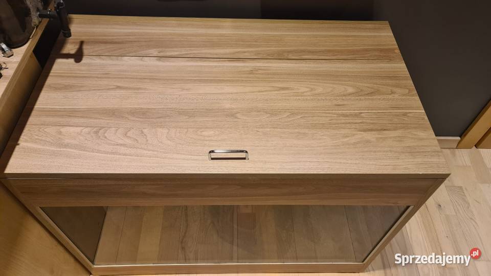 Pyton królewski terrarium śląskie Żernica sprzedam