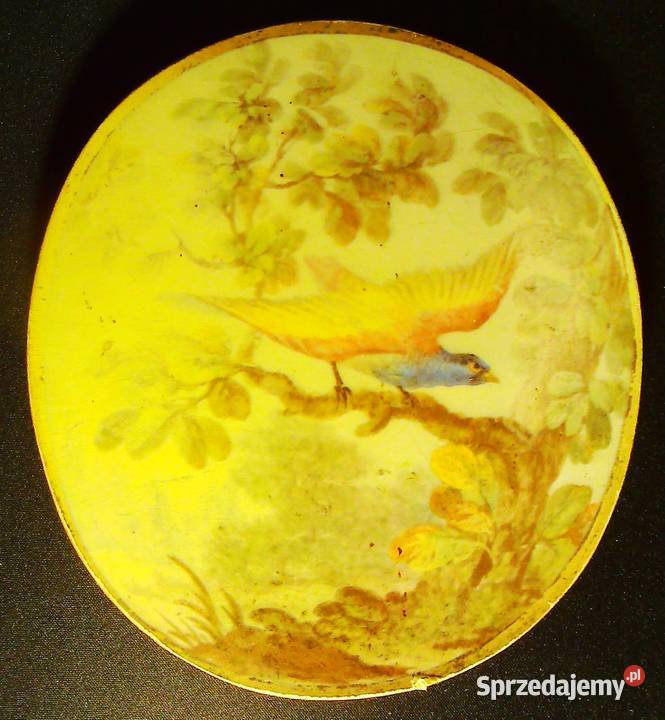 Barwny ptak siedzący na gałązce autor nieznany Kraków sprzedam