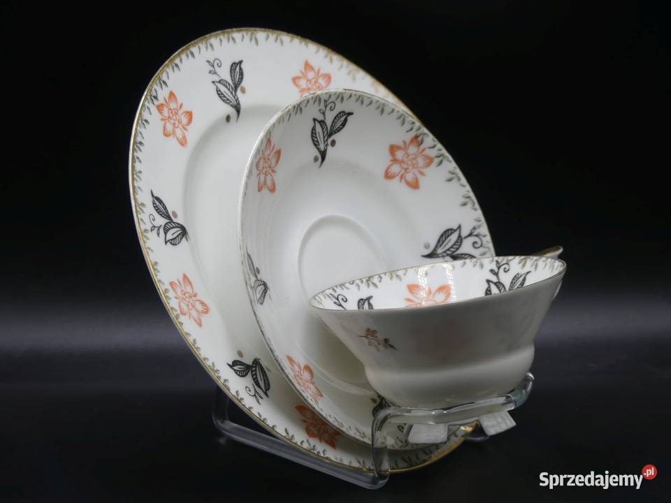 Urokliwe trio Tułowice Tillowitz na nóżkach wielkopolskie Poznań