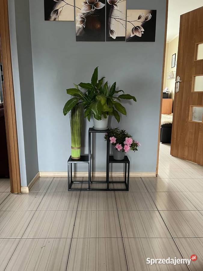 Kwietnik metalowy stojak 3 półki czarny LOFT Trębaczew