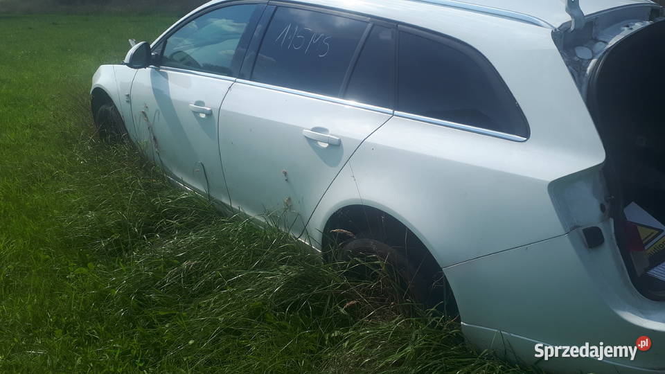 Opelinsignia zestaw Czesi blacharskich Kielce