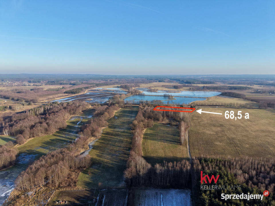 Działka 6850m2 Kuźniczysko