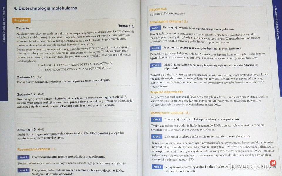 Biologia na czasie 4 Maturalne karty pracy B Chełm