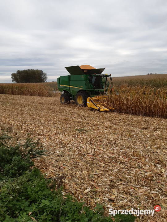 Usługa koszenia kukurydzy kombajnem John Deere Płowęż