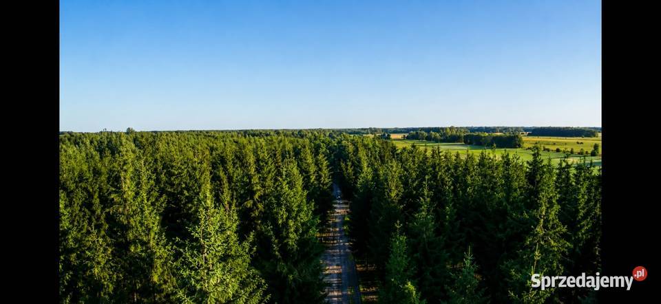Działka bud 1202M2 WZ STUDNIE mazowieckie