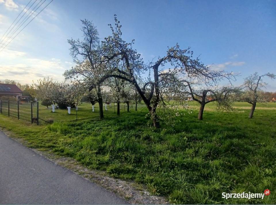 Działka budowlana drodze asfaltowejRATY Węgrzce