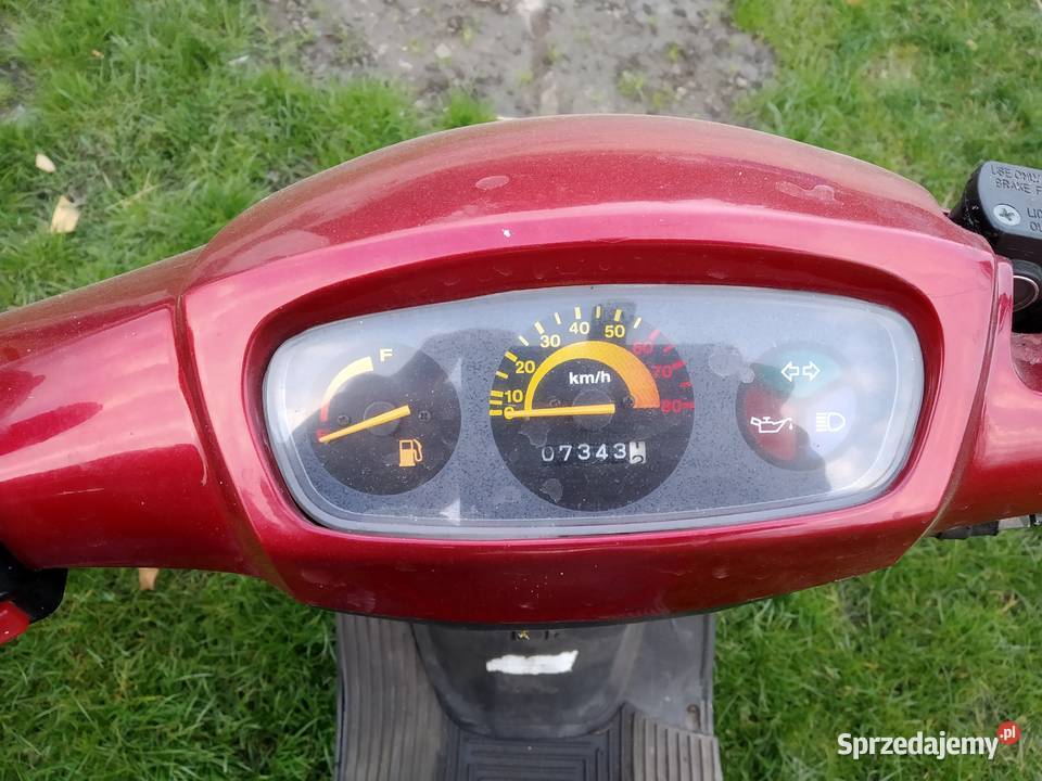 Pegasus sky 50 Krasnystaw