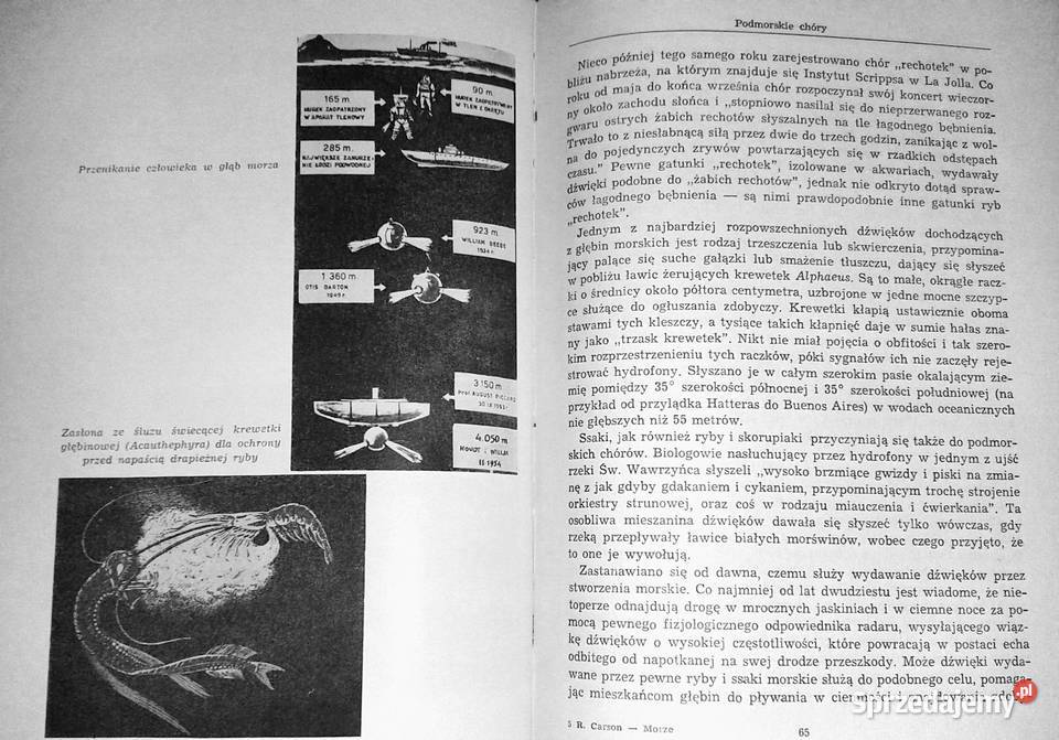 Morze wokół nas Rachel Carson lubelskie Chełm