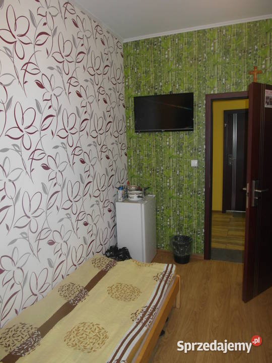 Wynajmę pokój Sosnowiec 850 miesiąc WIELKA 20m2