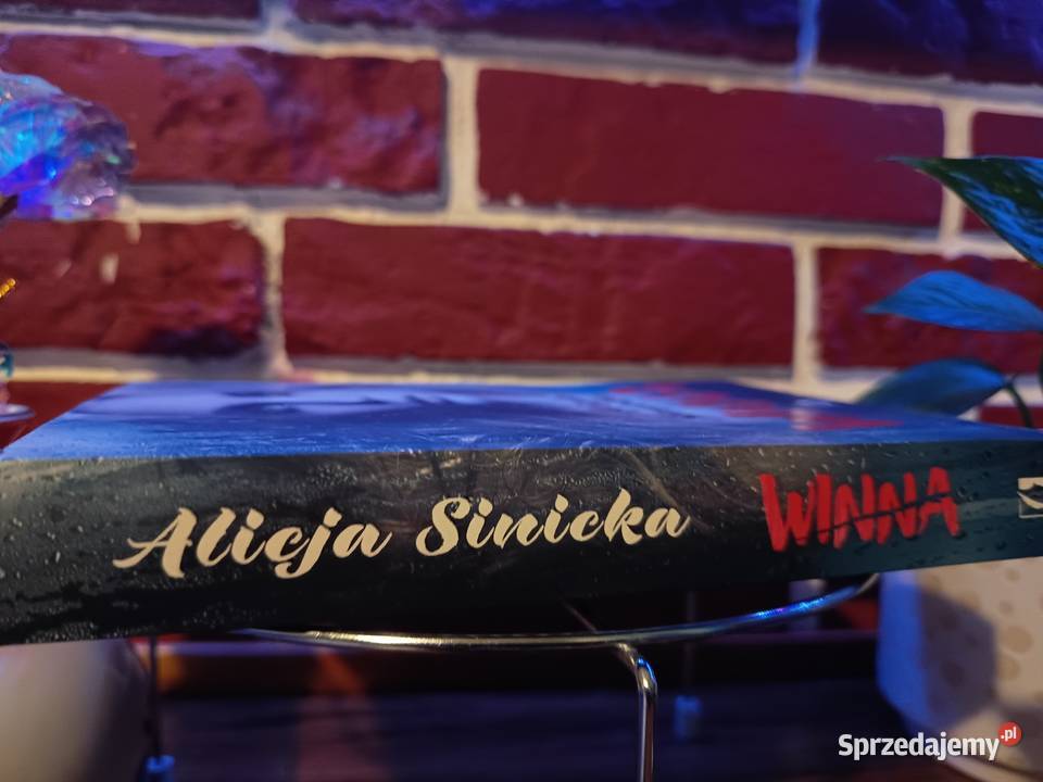Thriller Psychologiczny Alicja Sinicka WINNA Bydgoszcz