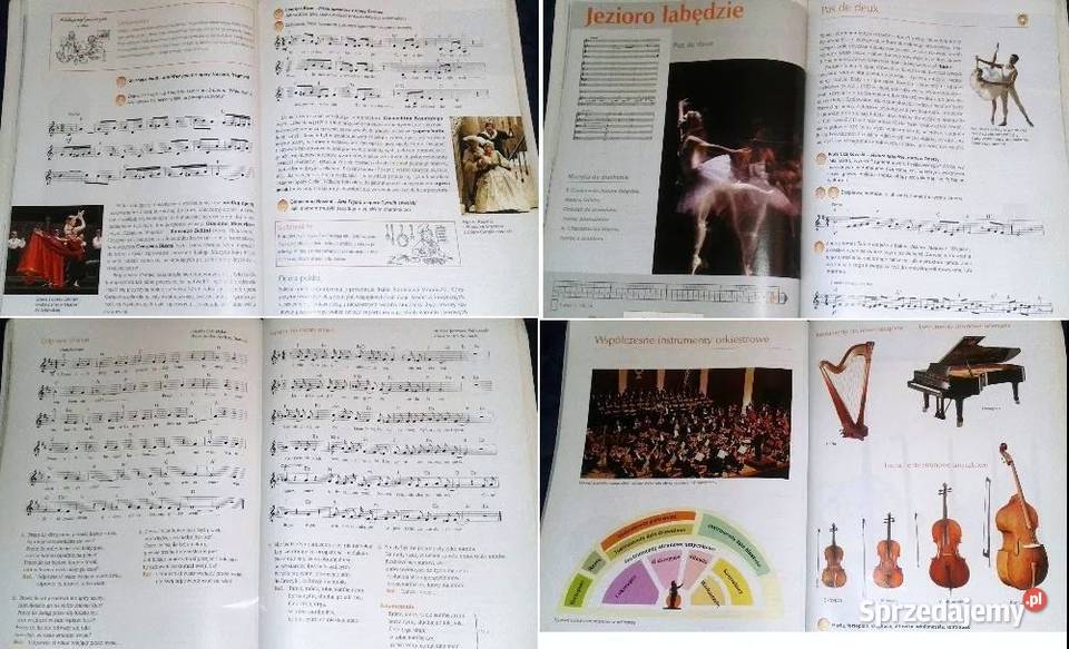 Muzyka Gra muzyka Jan Oleszkowicz miękka lubelskie Chełm