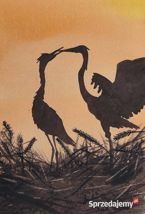 Akwarela Czaple 2 Ręcznie malowana Unikat 27x19