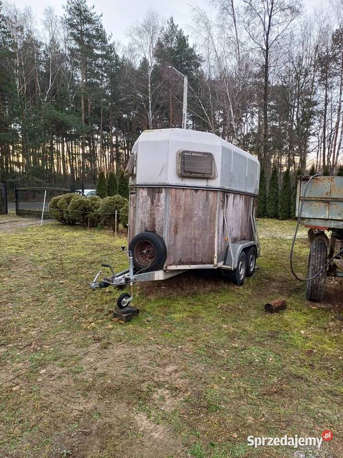 przyczepa do przewozu koni koniowóz Boeckmann Boeckman