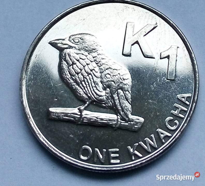 ZAMBIA1 KWACHA2012 r PTAKŁADNA Numizmatyka sprzedam