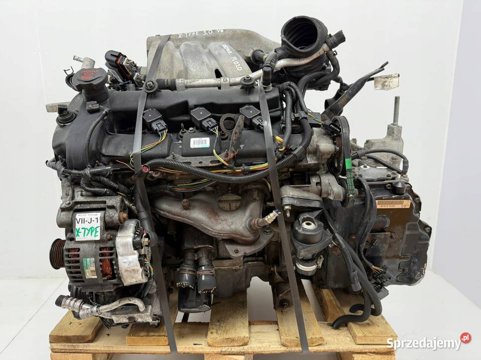 SILNIK WB AJV6 Jaguar X Type XType 30 V6 230 osobowe lubelskie Chełm sprzedam