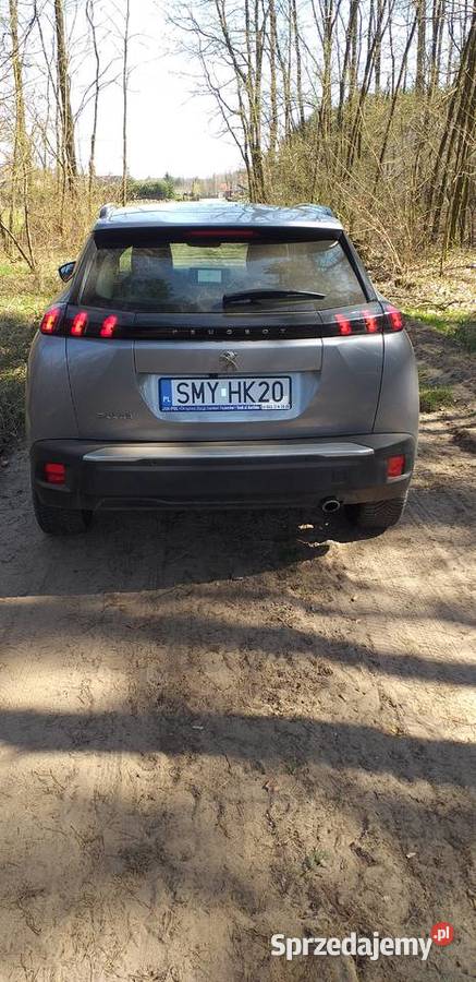 Peugeot 2008 wielkopolskie Władysławów