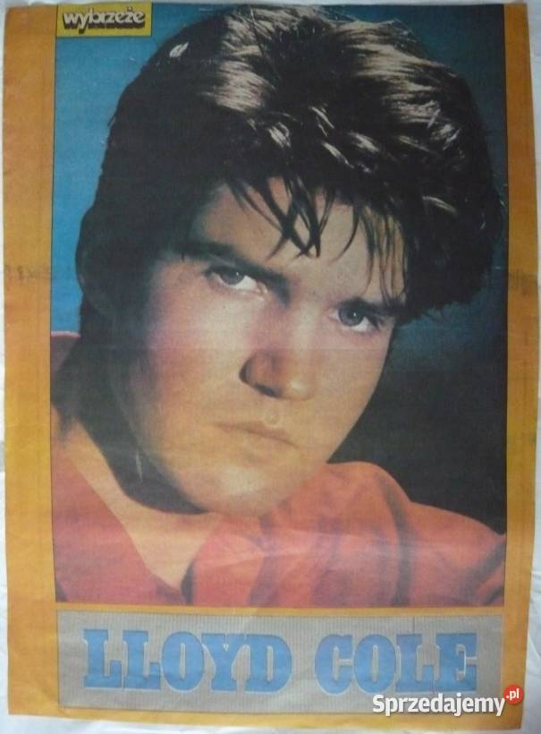 PLAKATY LLOYD COLE WYPRZEDAŻ ŚWIAT PLAKATÓW kujawsko-pomorskie