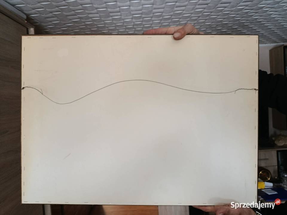 Piękny obraz wielkopolskie Promnice