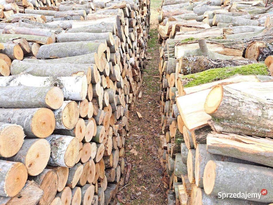 Drewno bukowe cięte 33 długości Oleszyce
