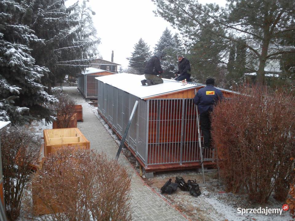 kojec buda zagroda psa i psów Skierniewice
