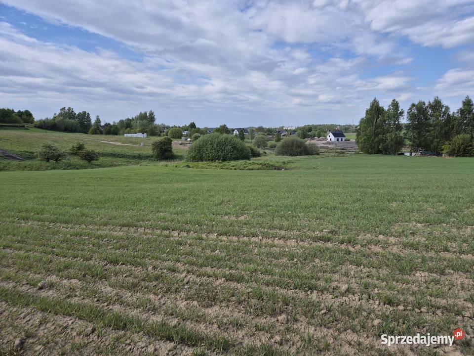 Sprzedam działkę rolną pod siedlisko zabudowę 14000m2 Sprzedaż Udorpie