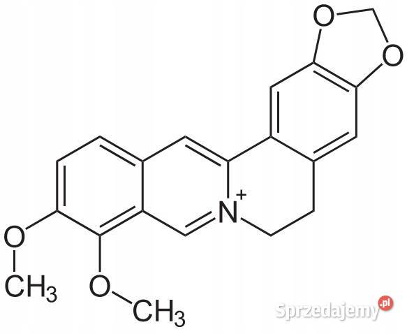 Berberyna Czysta Berberin Flavonoid 50g 98 Łódź