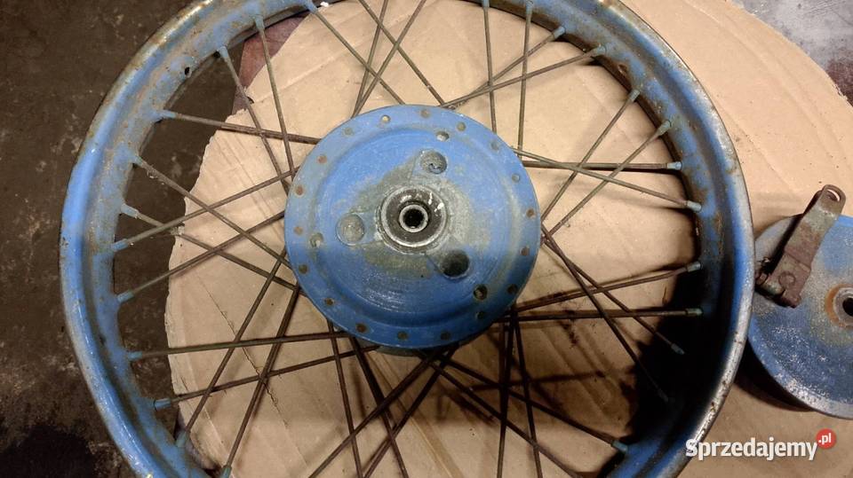 Koło jakwak kaczka Namysłów