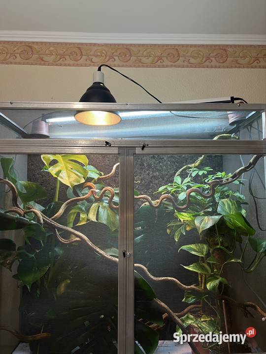 Terrarium z siatki 100x50x100 kameleona DUŻE Sopot