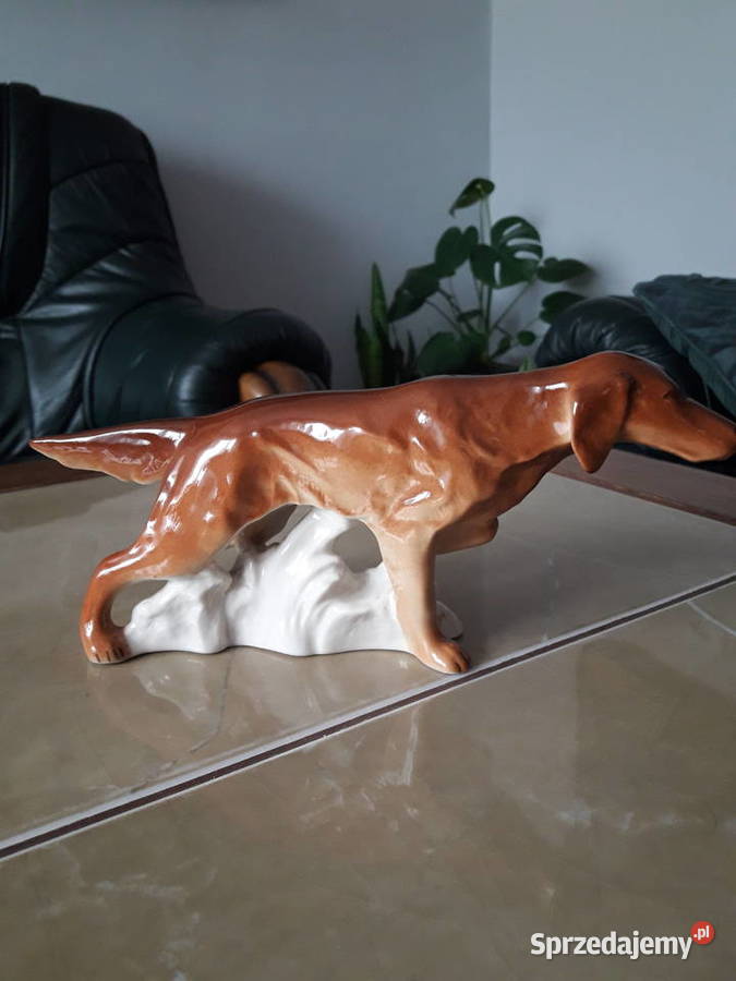 Figurka porcelanowa Seter angielski Łomonosow Antyki, Sztuka, Kolekcje Janów Lubelski