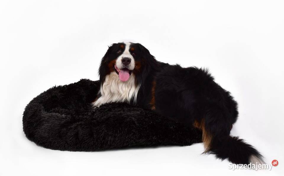 Wyściełane legowisko z delikatnego materiału Warszawa