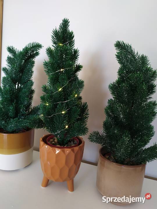 Zestaw 3 x choinka w doniczce Dom i Ogród Koszalin