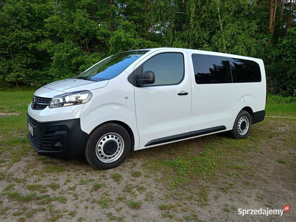 OPEL VIVVARO WERSJA LONG 9 OSÓB Głodno