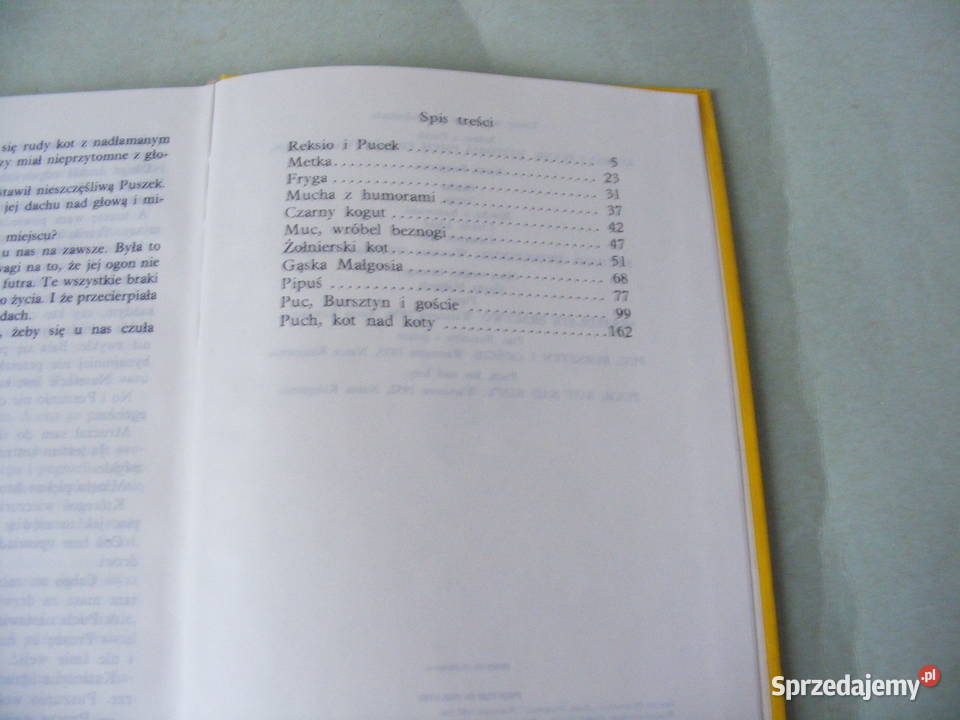 Idzie niebo ciemną nocą Pamiętniki osiołka Oborniki Śląskie