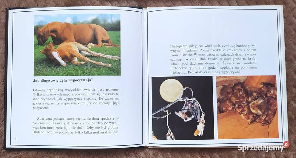 Zwierzęta wypoczywają Jane Burton Warszawa